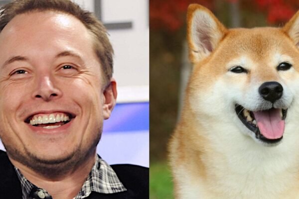 Dogecoin Pumps After Elon Musk's 'DOGE' Tweet