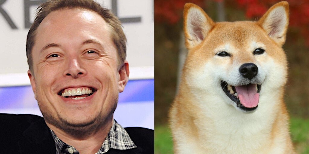 Dogecoin Pumps After Elon Musk's 'DOGE' Tweet