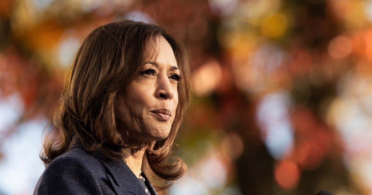 Harris campaign ramps up "unsavory and unsettling" attack on Trump in new ad