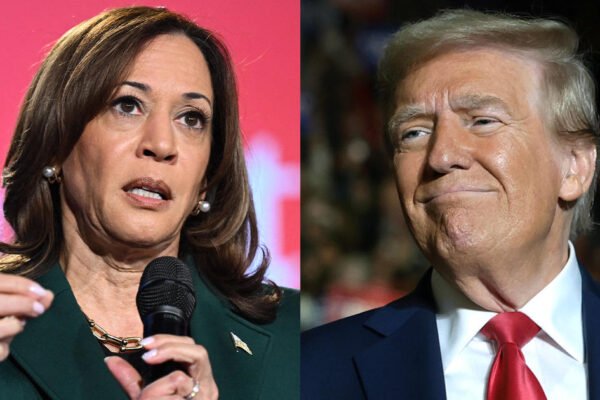 Kamala Harris expands her lead over Donald Trump in New York. Here's what pundits say the new poll could mean for the House race.