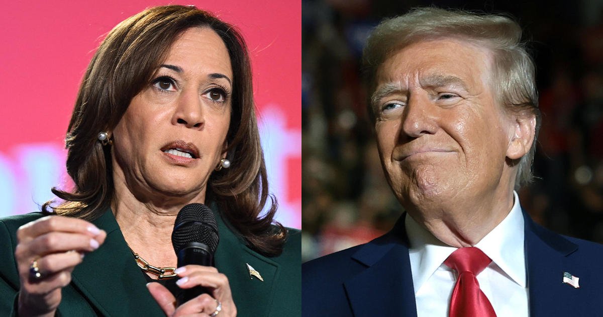 Kamala Harris expands her lead over Donald Trump in New York. Here's what pundits say the new poll could mean for the House race.