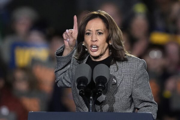 Kamala Harris wins big if polls repeat 2022 mistake: election analyst