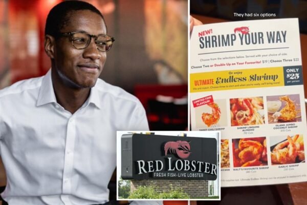 New Red Lobster CEO Damola Adamolekun admits endless shrimp deal has caused 'chaos'