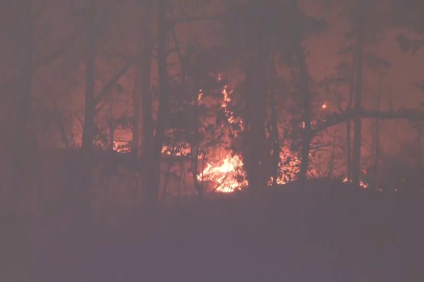 North Shore brush fire grows to 130 acres in Salem, Linn