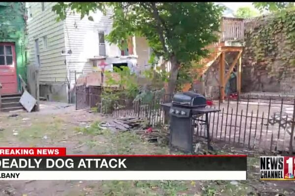 Police: A Schenectady man died in an attack by eight or nine dogs