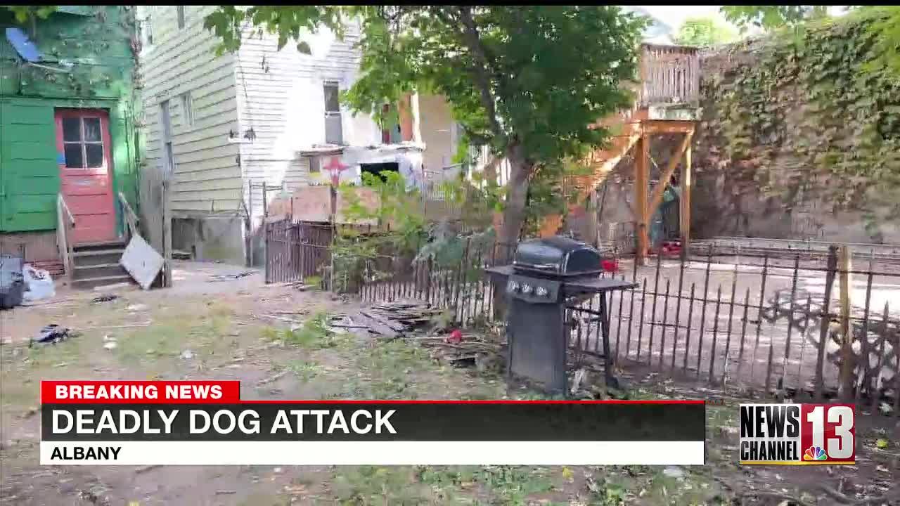 Police: A Schenectady man died in an attack by eight or nine dogs