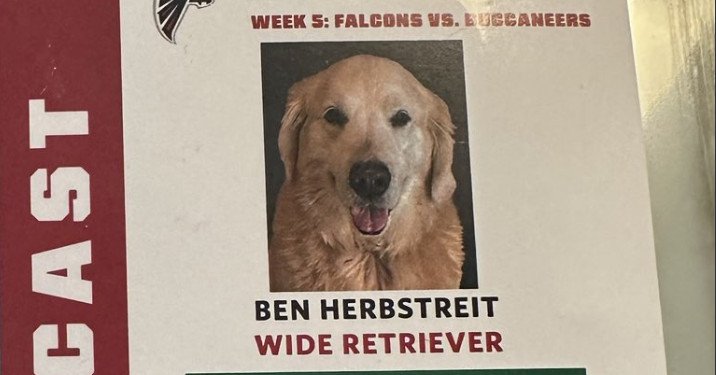 The Falcons adopted Kirk Herbstreit's dog Ben for the Buccaneers vs. Falcons is great