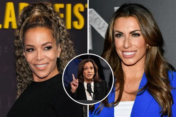 'The View' hosts deliver message to Kamala Harris: 'Raise the fear factor'