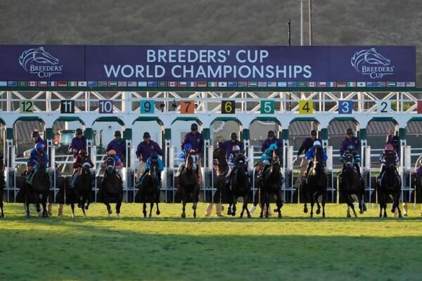 Breeders' Cup: Odds and classic picks for Saturday's biggest races at Del Mar