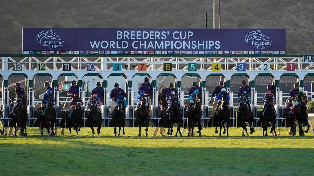 Breeders' Cup: Odds and classic picks for Saturday's biggest races at Del Mar