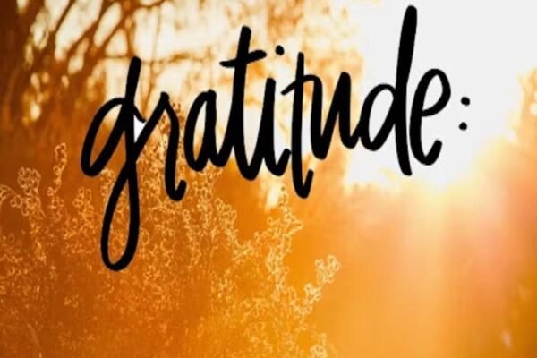 Reflection of Thanksgiving: Gratitude, Unity, and Community