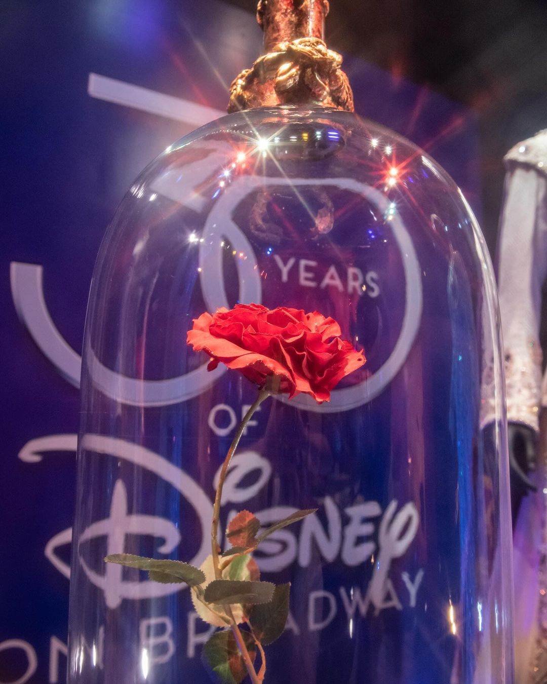 The Broadway Museum presents Disney's Broadway Debut: 30 Years of Magic exhibition