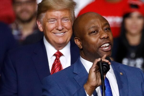 Tim Scott was elected Chairman of the Republican Senate Committee